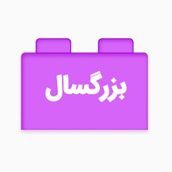 بزرگسال